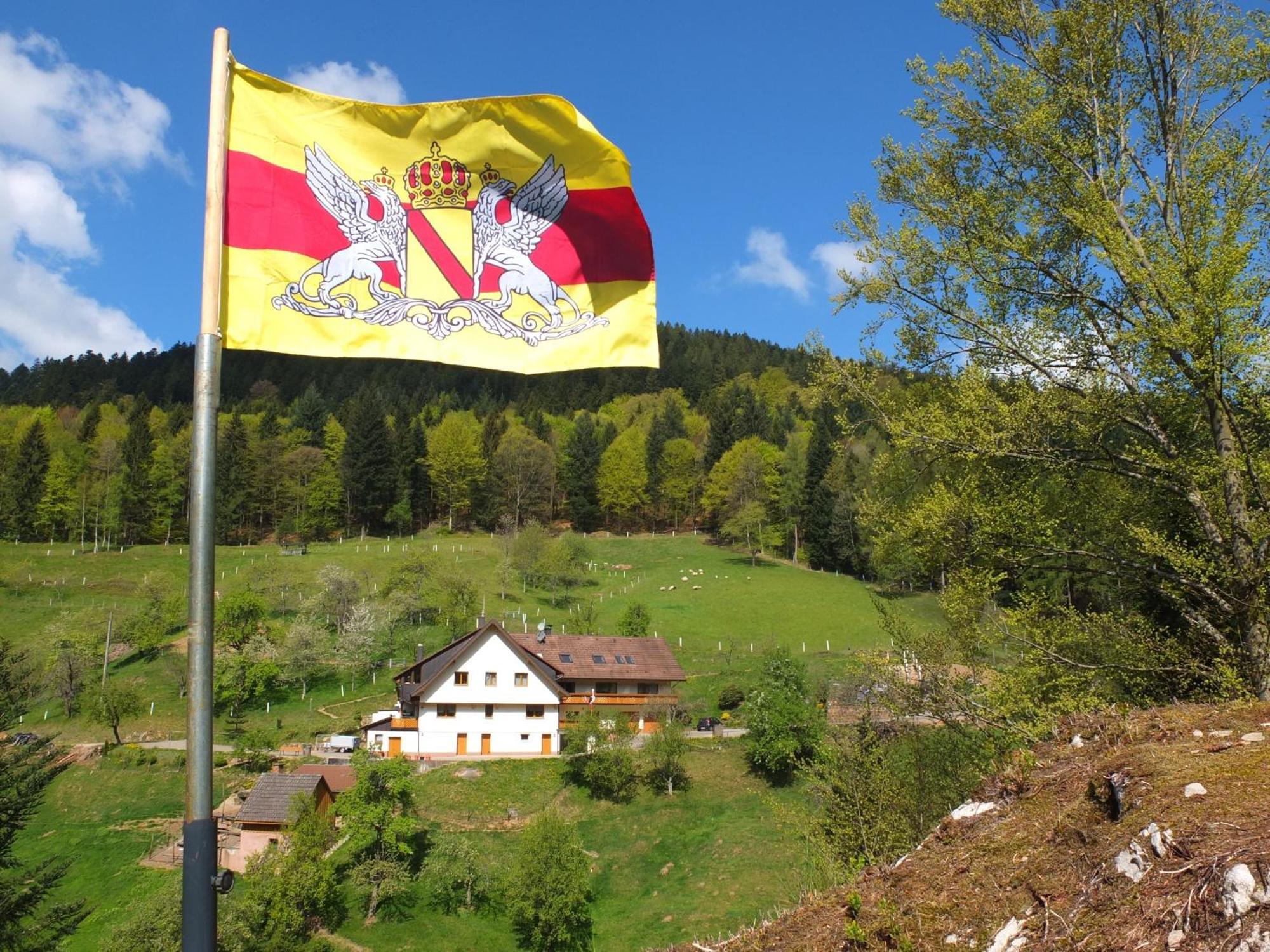 Paradies Im Schwarzwald Bad Peterstal-Griesbach Exterior photo