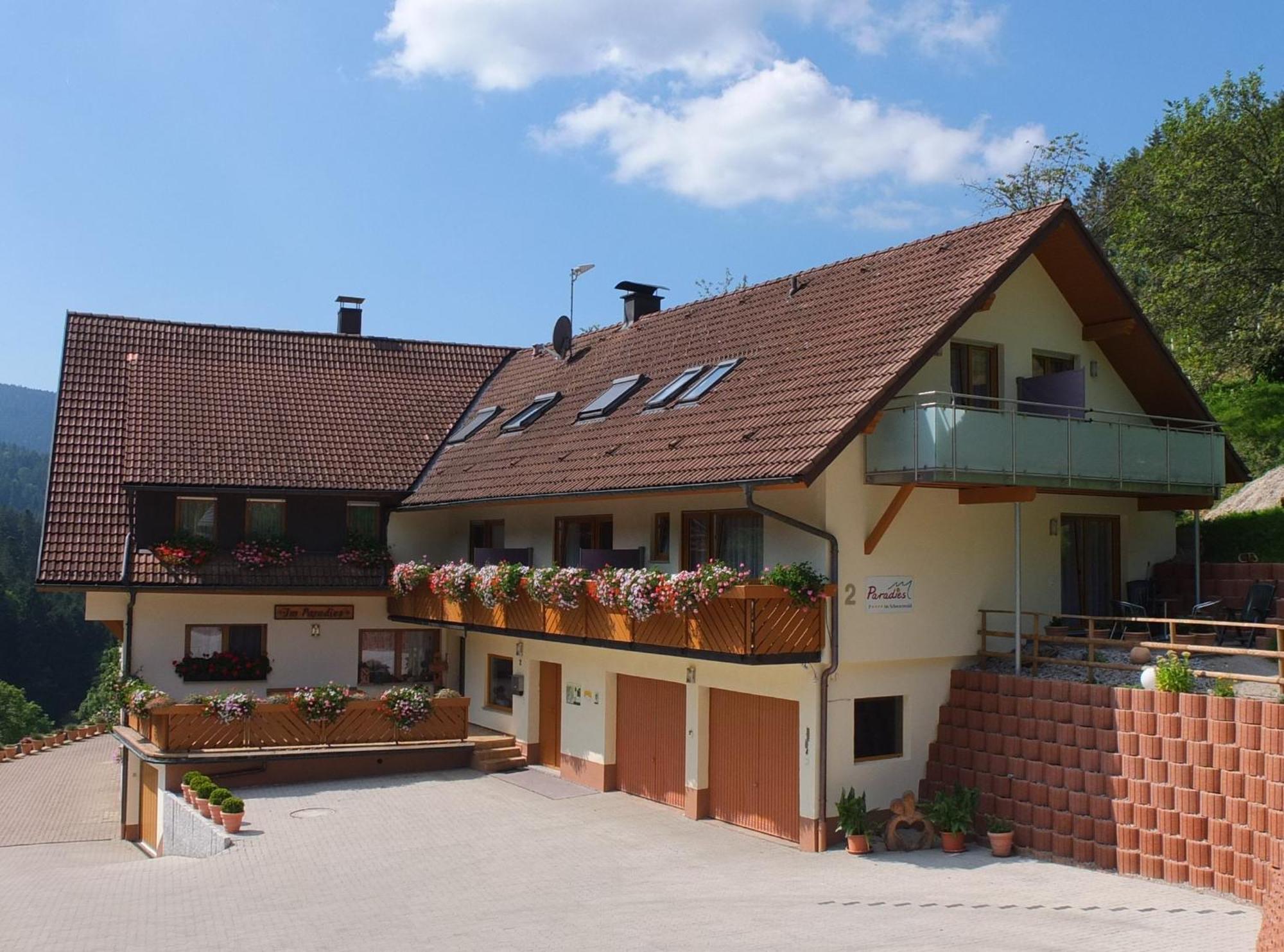 Paradies Im Schwarzwald Bad Peterstal-Griesbach Exterior photo
